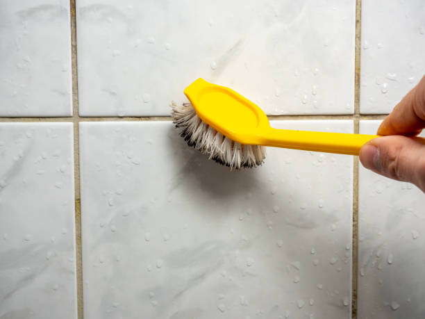 Best Professional Mold Removal  in Newtown Grant, PA
