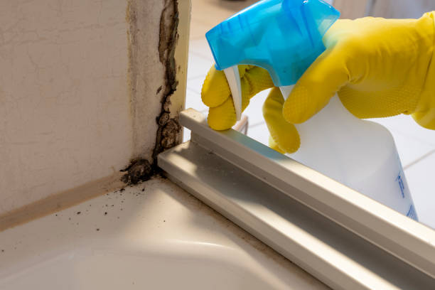 Best Toxic Mold Removal  in Newtown Grant, PA