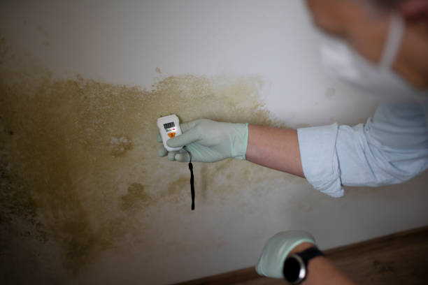 Best Mold Remediation  in Newtown Grant, PA