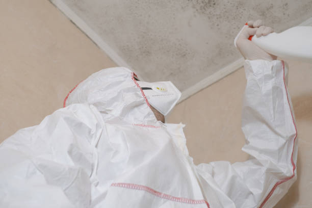 Best Crawl Space Mold Removal  in Newtown Grant, PA