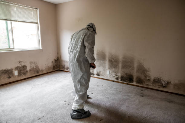 Best Mold Removal and Inspection  in Newtown Grant, PA