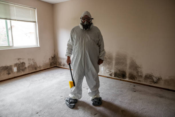 Crawl Space Mold Removal in Newtown Grant, PA